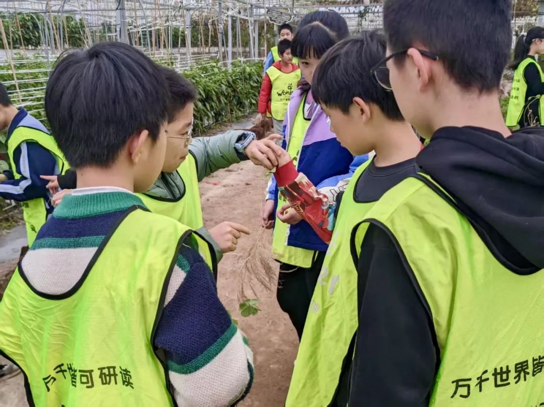 Exploring Medicinal Herbs and Agricultural Experiences: Class 2 of 2020 at Park Primary School Enjoys Springtime in the Fields