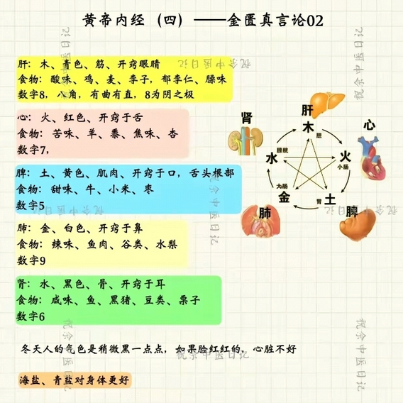 Mind Map of the Huangdi Neijing (Essential Content)