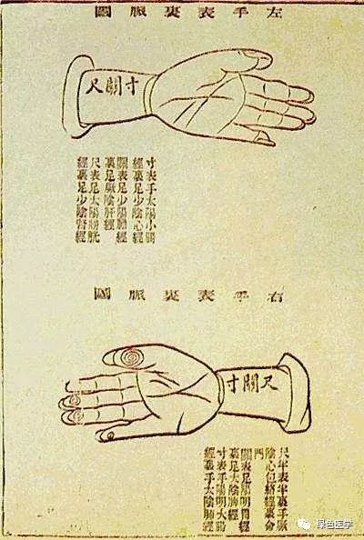 Summary of Pulse Diagnosis in Traditional Chinese Medicine