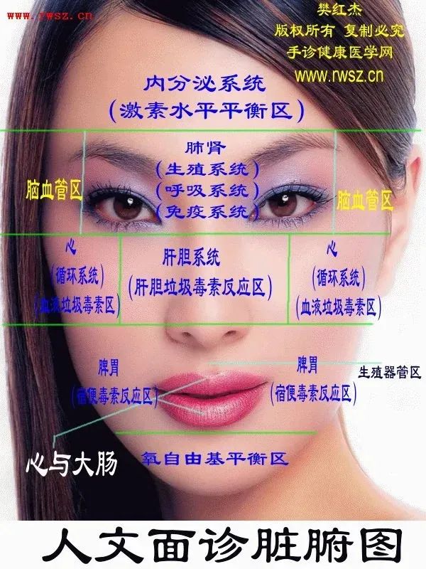 Comprehensive Guide to Observation Diagnosis in TCM: Understanding Shen, Head and Face, Lips, and Tongue Coating