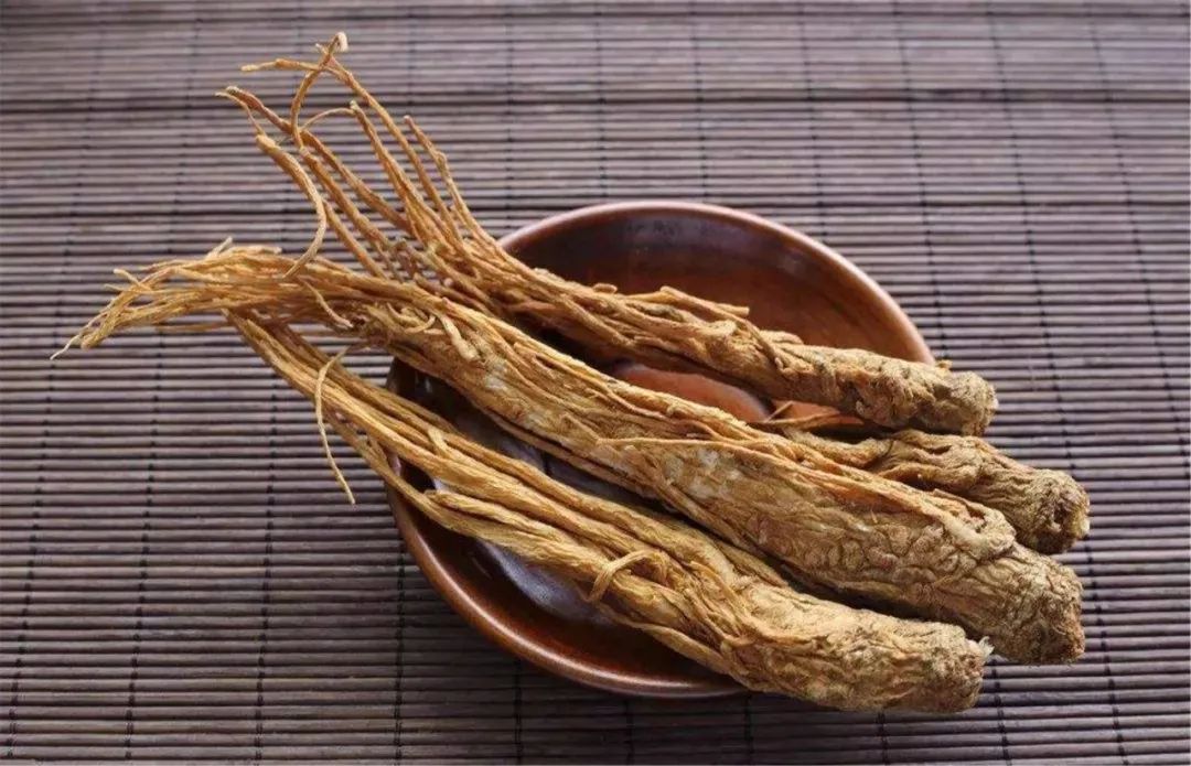 An Introduction to Chinese Herbal Medicine: Angelica Sinensis