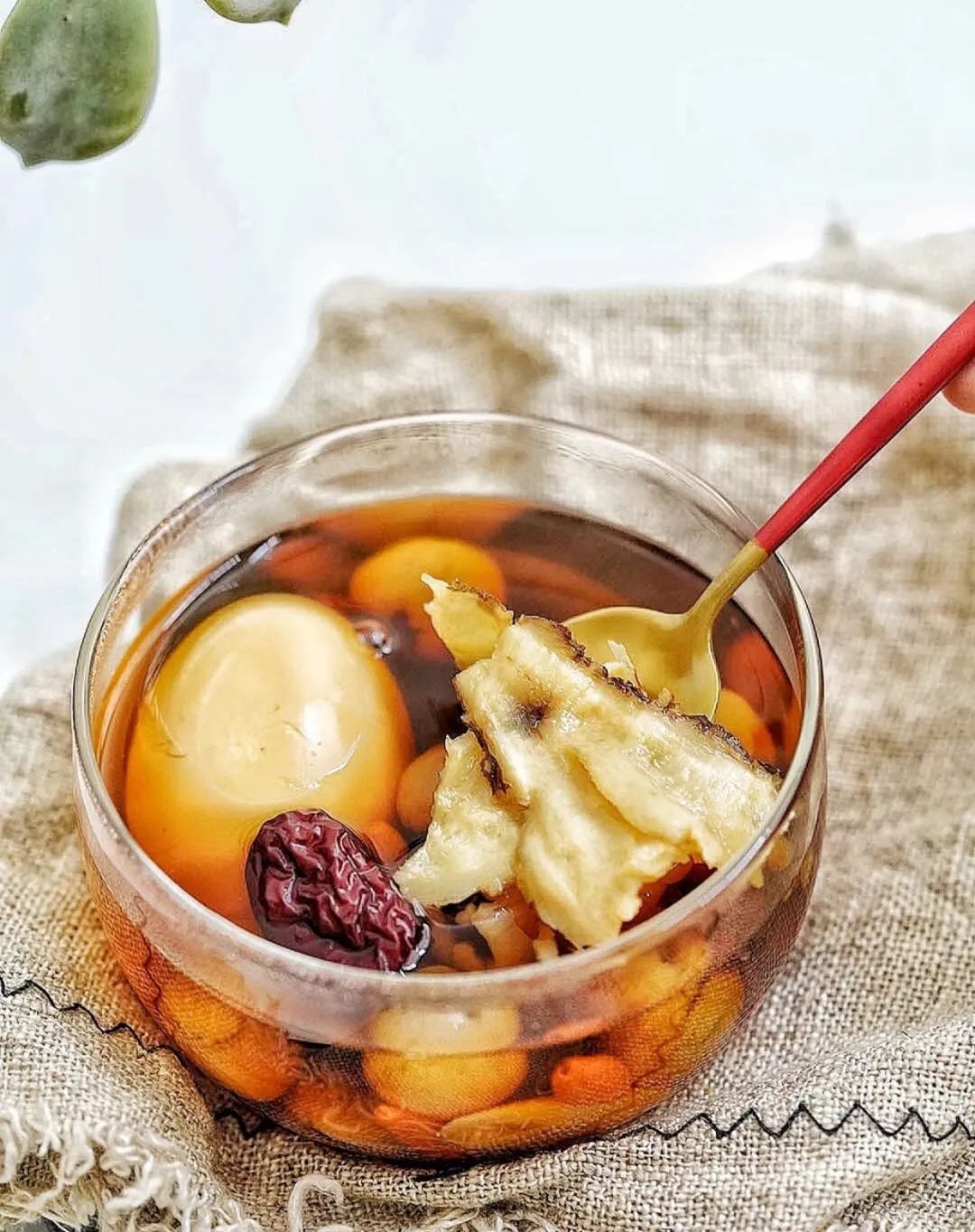 The Past and Present of Medicinal Cuisine