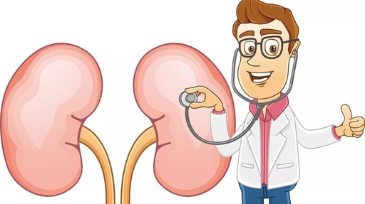 Distinguishing Between Kidney Yin Deficiency and Kidney Yang Deficiency: Do Not Confuse These Kidney Tonifying Medicines!