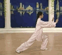 Comprehensive Guide to Tai Chi Movements: Exercise at Home!