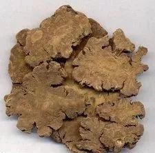 Understanding a Chinese Herb Every Day: Chuanxiong (Ligusticum chuanxiong)