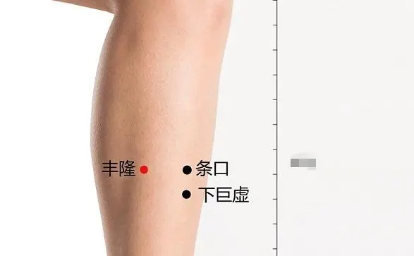 57 Practical Acupuncture Points Everyone Can Use