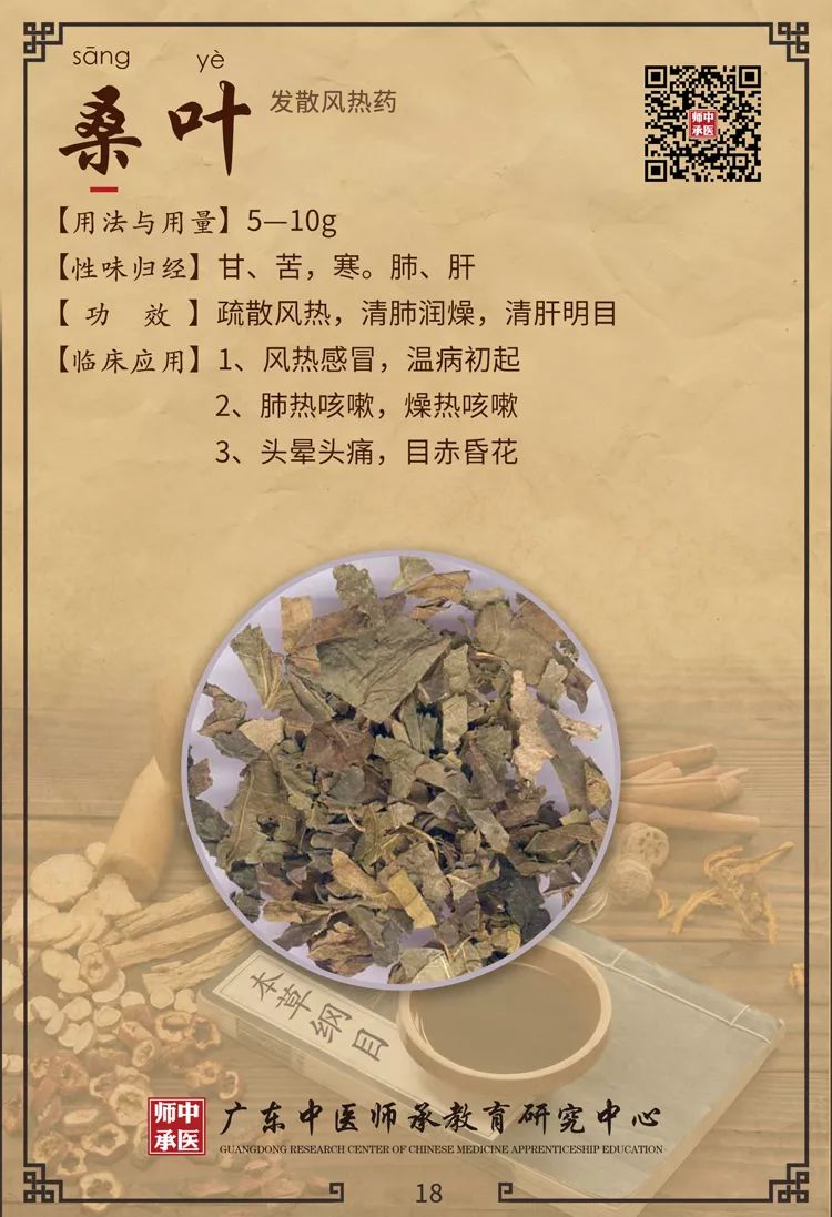 Traditional Chinese Medicine Insights: Differentiating Between Wind-Cold and Wind-Heat in Common Colds