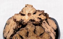 Daily Herb Insight: Promoting Blood Circulation, Dispelling Wind, and Alleviating Pain