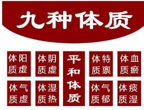 Understanding TCM Constitutions