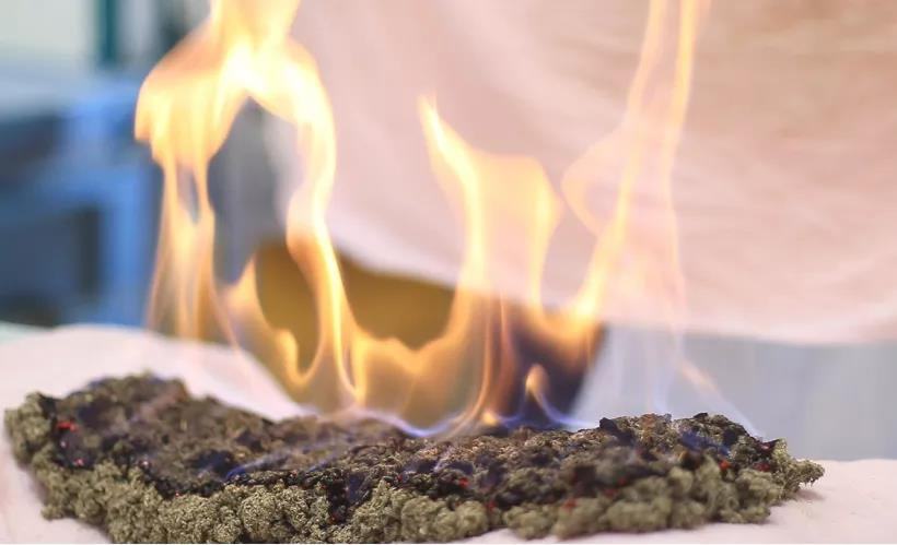 Warming Yang and Dispelling Cold: The First Moxibustion of Pain in Traditional Chinese Medicine