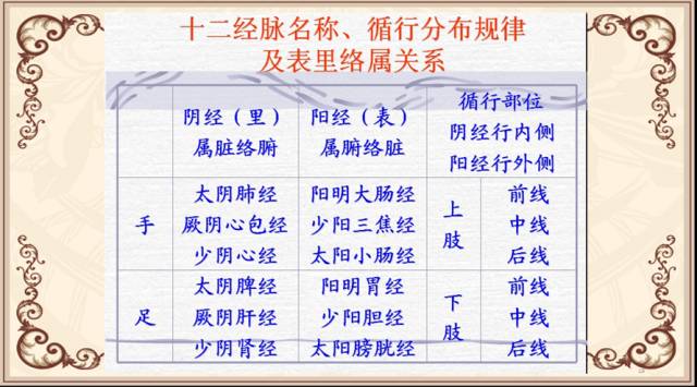 Essentials: The Twelve Meridians and Their Source, Luo, and Transport Points (Summary with Images)