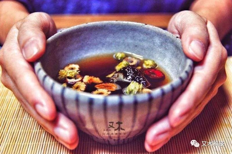 Understanding Damp-Heat and Cold-Damp in Traditional Chinese Medicine
