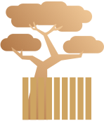 The Efficacy and Functions of Honeysuckle (Jin Yin Hua)