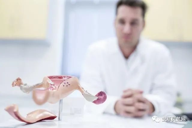 Differences Between Blood Cold, Blood Heat, Blood Deficiency, and Blood Stasis: Nourishing Blood for Health