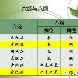 The Relationship Between the Eight Principles and the Six Meridians in TCM