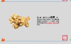 Ginger (Gan Jiang): A Comprehensive Overview of Its Properties and Uses in Traditional Chinese Medicine
