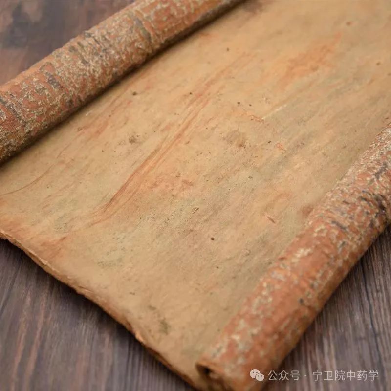 Exploring Cinnamon: Understanding Its Varieties and Uses in TCM