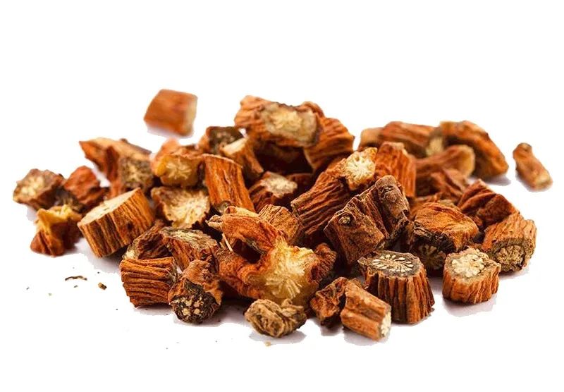 Commonly Used Mongolian Medicinal Material - Dan Shen (Salvia Miltiorrhiza)