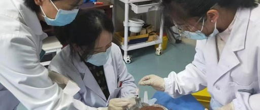 The Power of Small Needles: Lushui City First People's Hospital Implements Fire Needle and Bloodletting Cupping Therapy for Herpes Zoster