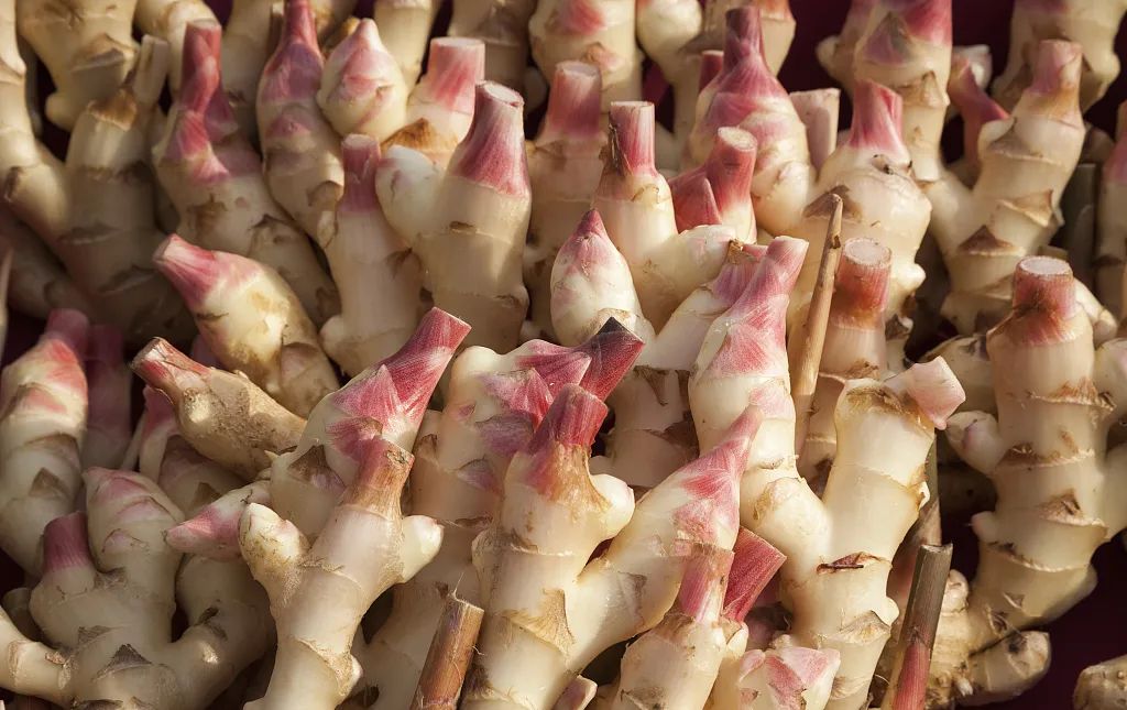 What is the Difference Between Fresh Ginger and Dried Ginger?