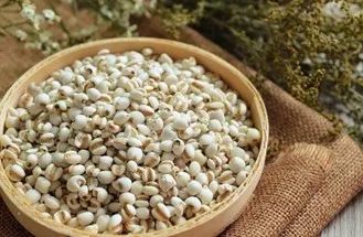 The Charm of Coix Seed | Yiyiren