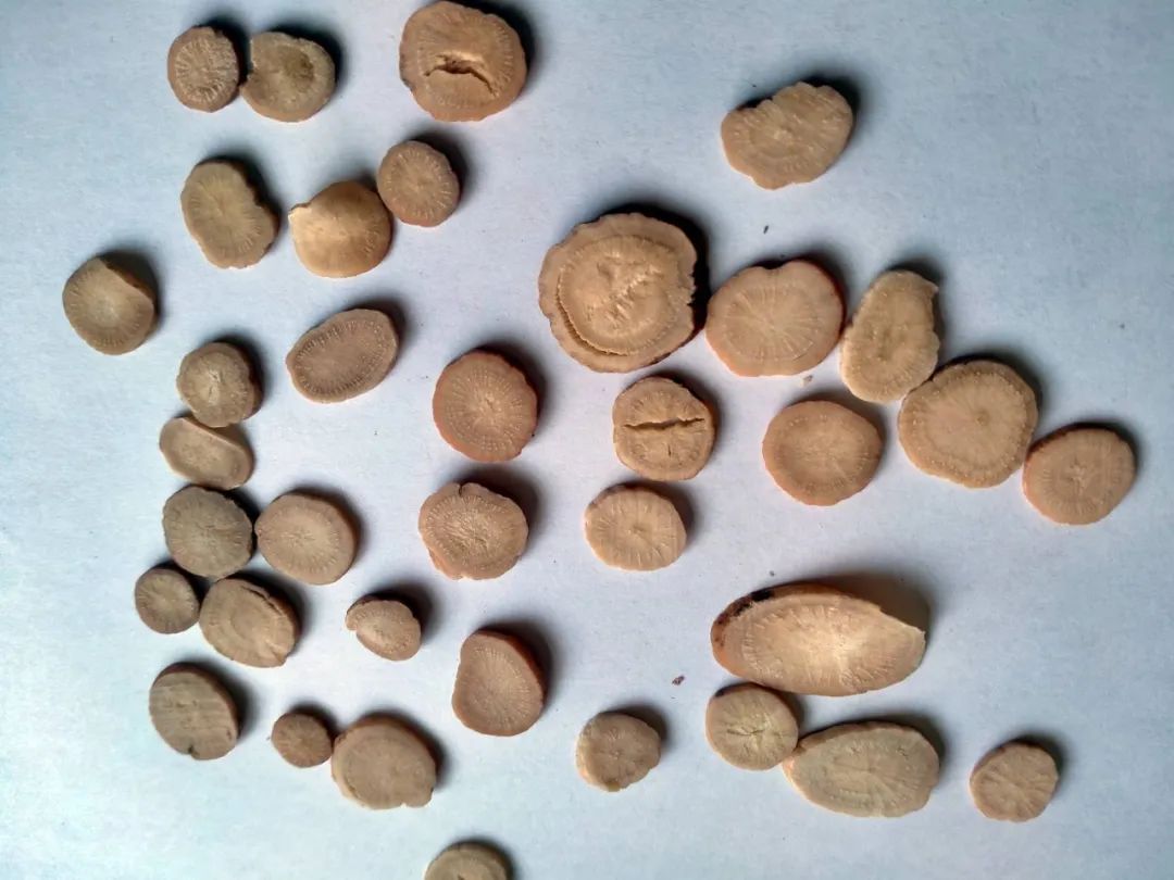 Illustrated Materia Medica: Authentic Medicinal Material 'Bai Shao'