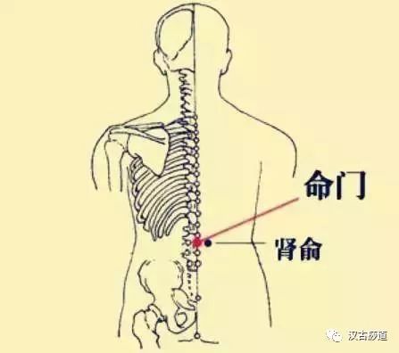 Common Deficiency Syndromes of the Five Organs (Yin, Yang, Qi, Blood) and Their Treatment Methods