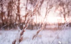 The Century-Old Formula for Warming Yang and Expelling Cold: Warming the Spleen Above and the Kidneys Below