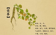 Insufficient Qi and Blood: The Key Role of Dang Shen in Nourishing Qi and Blood