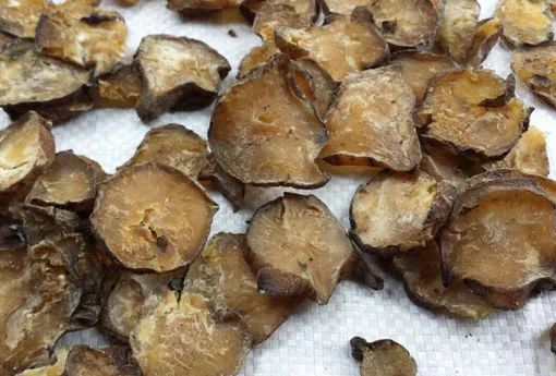 The Dangers of Aconite: A Double-Edged Sword in TCM