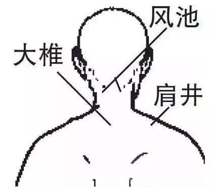 Chen Xuedong Shares His Gua Sha Experience: Experts Warn Against Incorrect Techniques That May Harm Kidney Function!