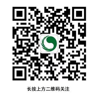 Why Has the Price of Cang Zhu (Atractylodes) Rebounded?