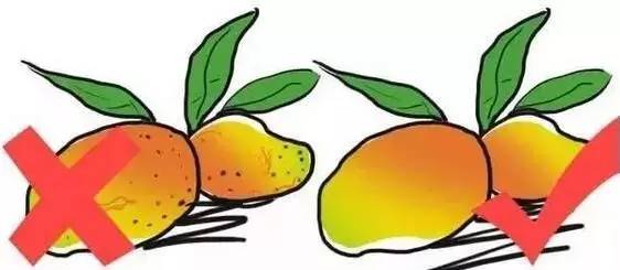 Understanding the Cold and Hot Properties of Fruits: A Comprehensive Guide
