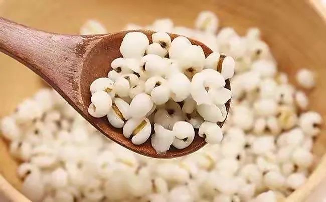 Removing Dampness and Cancer Prevention with Coix Seed: Suitable for Liver Disease and Spleen Deficiency!