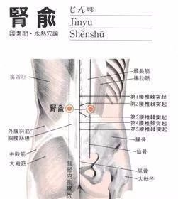 50 Common Acupuncture Points for Treating Various Ailments