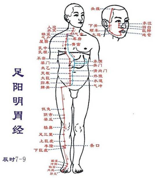 Essentials: The Twelve Meridians and Their Source, Luo, and Transport Points (Summary with Images)