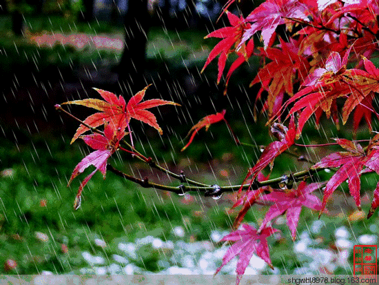 Eliminating Dampness: Tips to Strengthen the Spleen and Assist Yang, Banish Excess "Dampness"