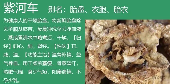 9 Effective Folk Remedies for Treating Anemia in Traditional Chinese Medicine