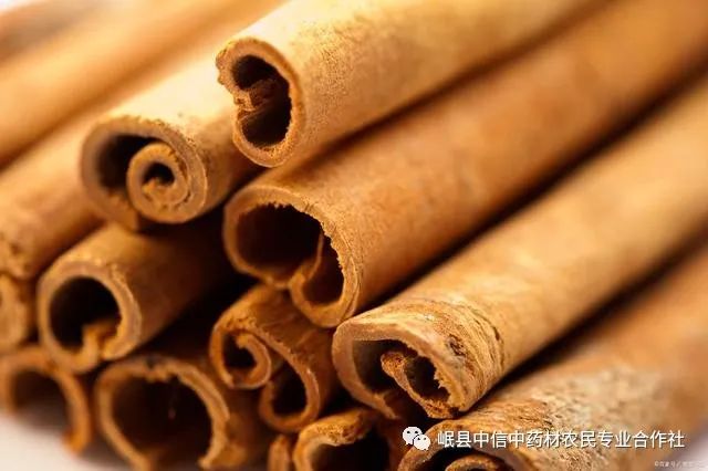 Understanding Cinnamon (Rou Gui)