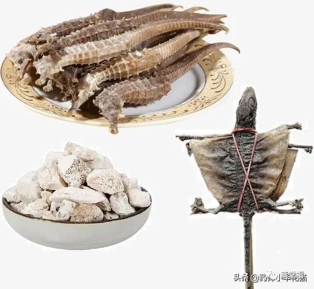 Transformation of Kidney Yin Deficiency and Kidney Yang Deficiency into Both Kidney Yin and Yang Deficiency: Symptoms and 15 Commonly Used TCM Formulas