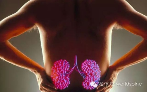 Understanding Kidney Deficiency: Symptoms and Solutions in Traditional Chinese Medicine