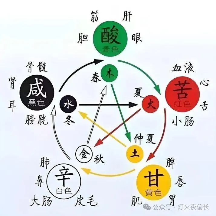 The Essentials of the Golden Chamber: A Management Guide for Treating Your Body Like a Company
