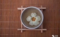 Understanding Yin Deficiency in Traditional Chinese Medicine