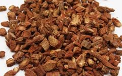 The Efficacy, Nutritional Value, and Precautions of Danshen (Salvia miltiorrhiza)