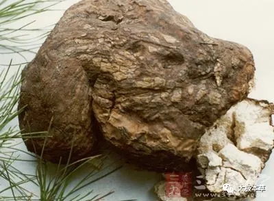 A Handful of Poria: 14 Uses for Treating Spleen Deficiency, Duodenal Ulcers, Insomnia, Forgetfulness, and More
