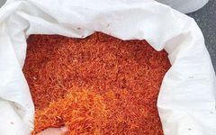 Overview of Safflower (Honghua)