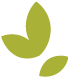 The Benefits of Coix Seed: Awakening the Spleen and Transforming Dampness
