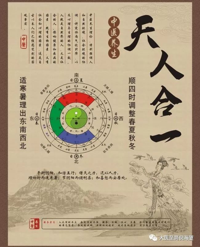 Understanding Rehmannia (Shu Di Huang)