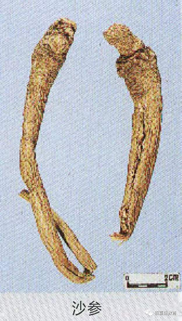 How to Distinguish Genuine from Fake Ginseng