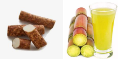Post-COVID Recovery: 14 Carefully Formulated TCM Dietary Remedies to Restore Your Sense of Taste and Achieve 'Yang Kang'